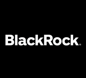 Read more about the article #157 Modul Insight dari Letter to Shareholder – BlackRock oleh Larry Fink Tahun 2015